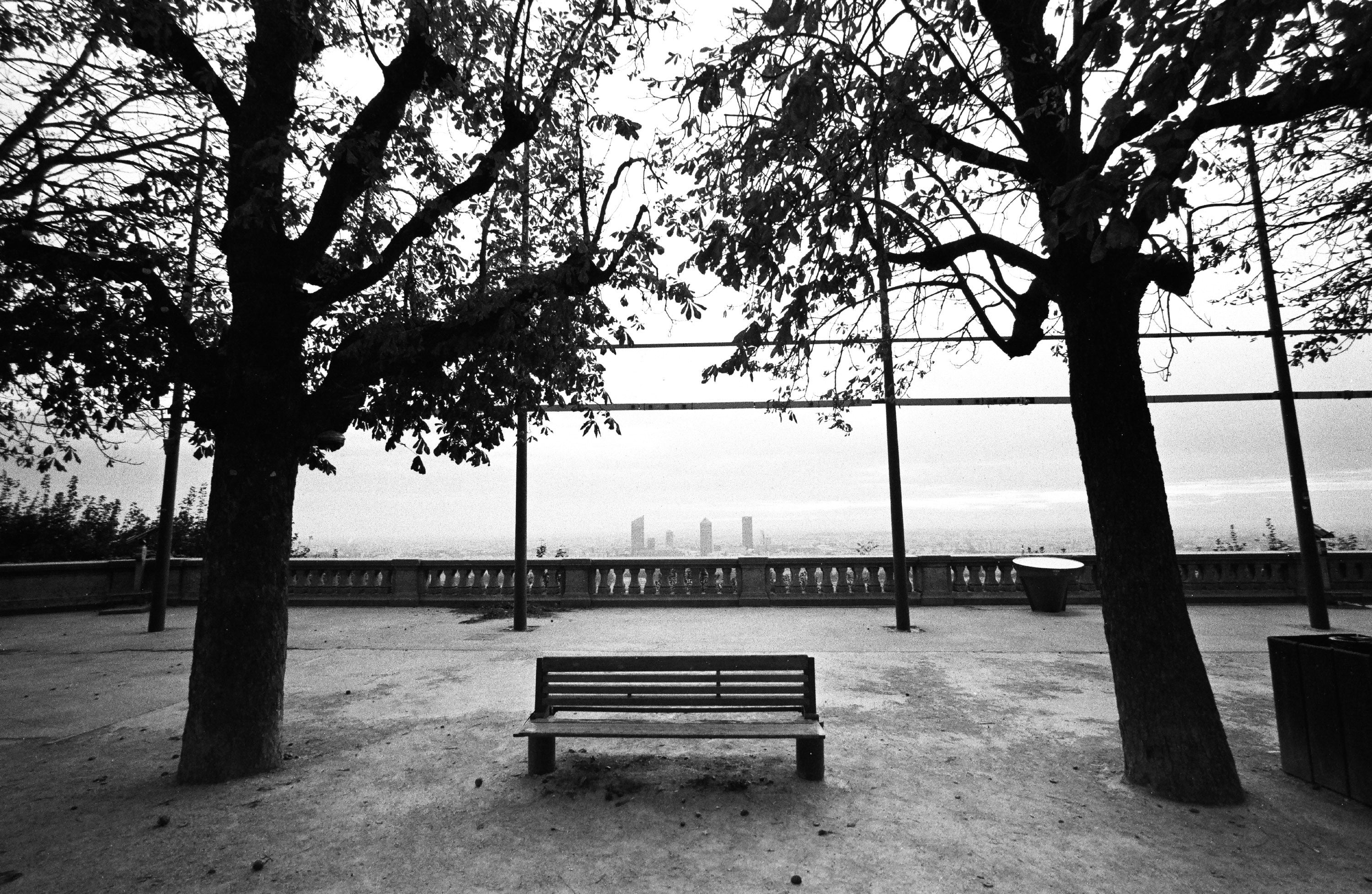 shanghai gp3 100 35mm 135 pellicule argentique noir et blanc