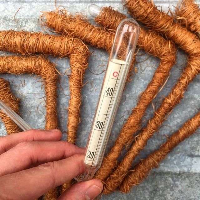thermomètre de cuve ancien vintage 1920 1930 coude angle alcool