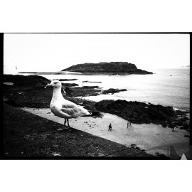 washi film s sound iso 50 black and white analog test sample shot photo picture image