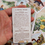 chocolats aiguebelle chocolate antique vintage illustrated chromo illustration educational card france french 1900