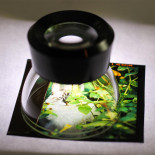 ap magnifier loupe 8x négatif positif film pellicule argentique photographie accessoire laboratoire 135 120 35mm 24x36