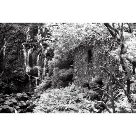 washi film Z quasi infrarouge noir et blanc 35mm exemple