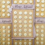 carte bouton ancien mercerie ancienne plastique crème nacre 17mm série idéale vintage