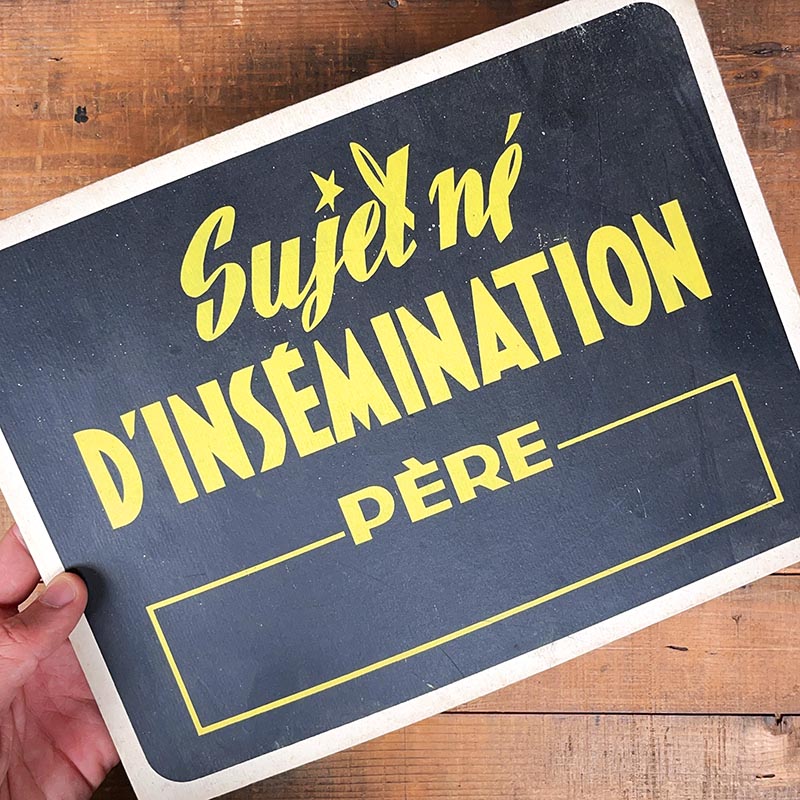 pancarte d'éleveur ancienne carton sujet né d'insémination père 1960 élevage bête vintage