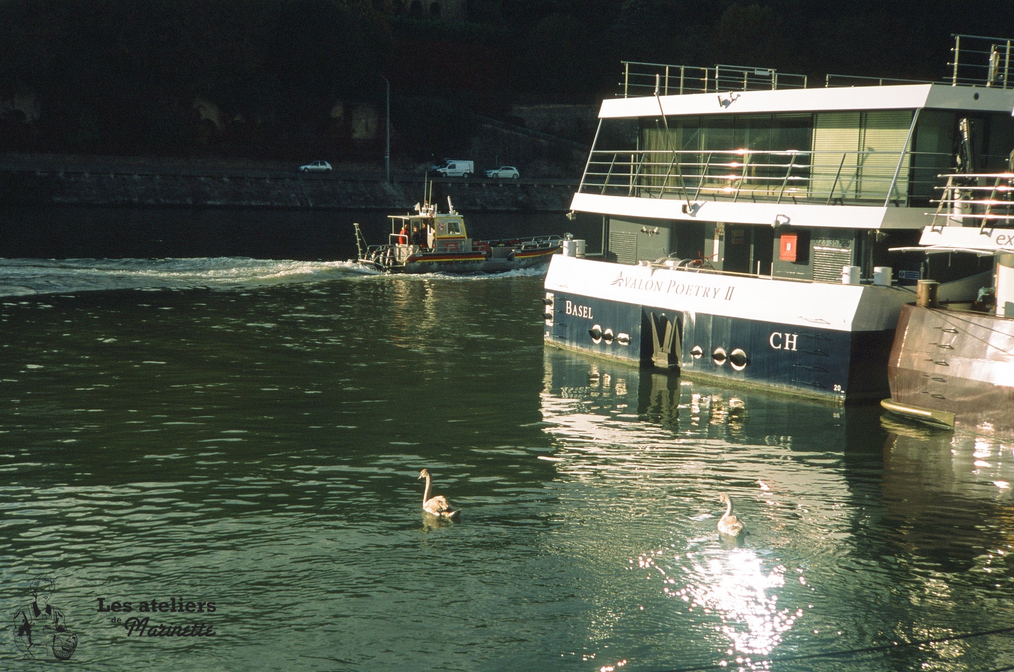 provia 100f 35mm fuji fujifilm 36 poses fujichrome diapo couleur diapositives 100 test photo rendu exemple