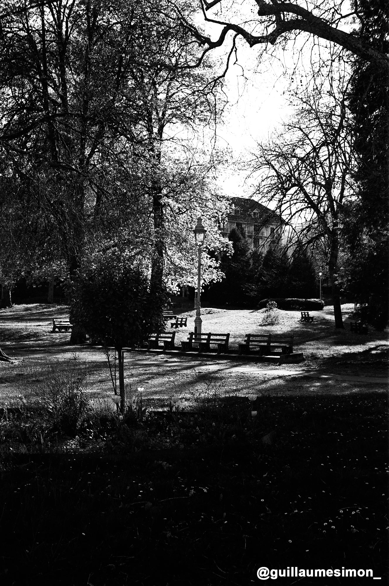 marinette m106 200iso noir et blanc pellicule argentique film rendu test photo exemple