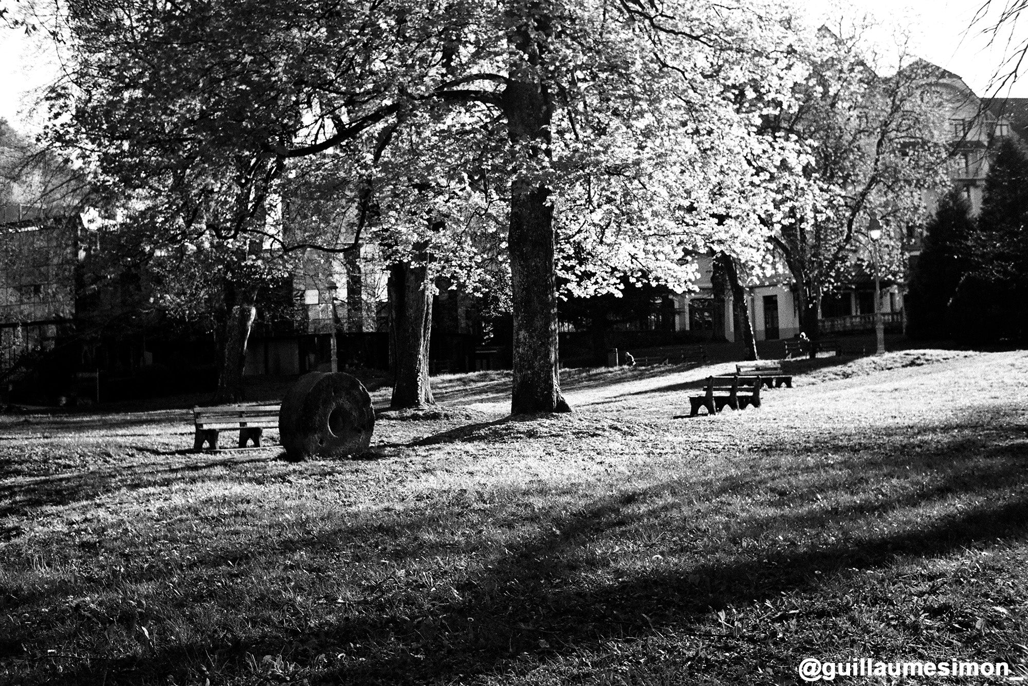 marinette m106 200iso noir et blanc pellicule argentique film rendu test photo exemple