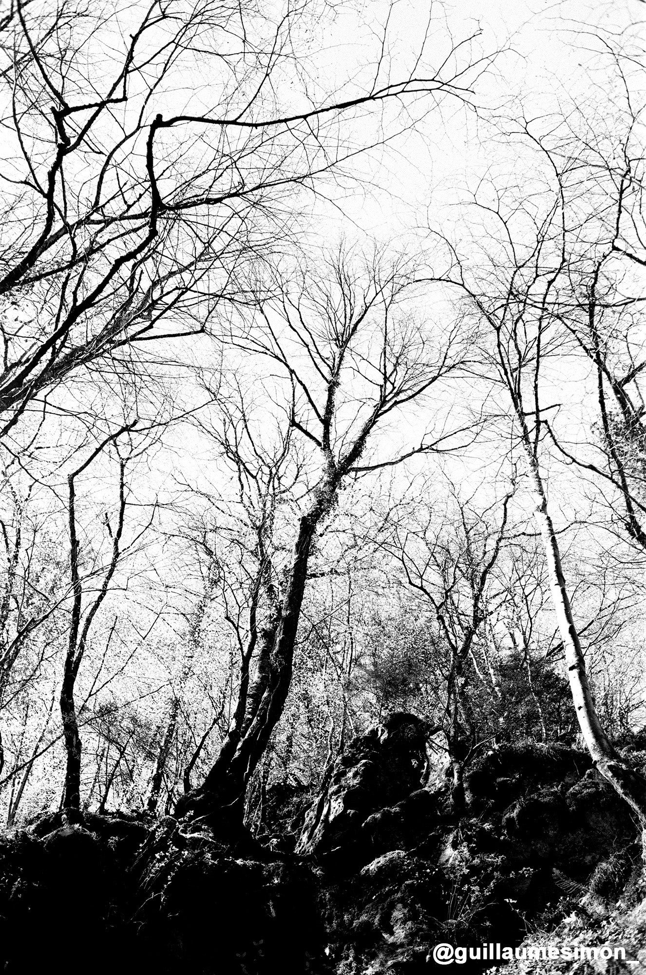 marinette m106 200iso noir et blanc pellicule argentique film rendu test photo exemple