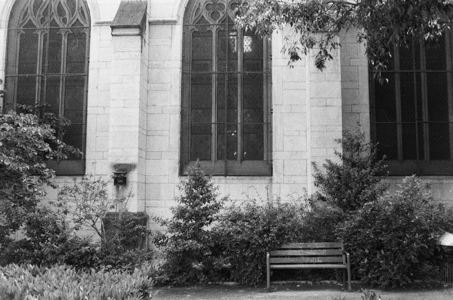 Agfa apx 400 pellicule argentique 35mm noir et blanc 400 iso film test exemple photo