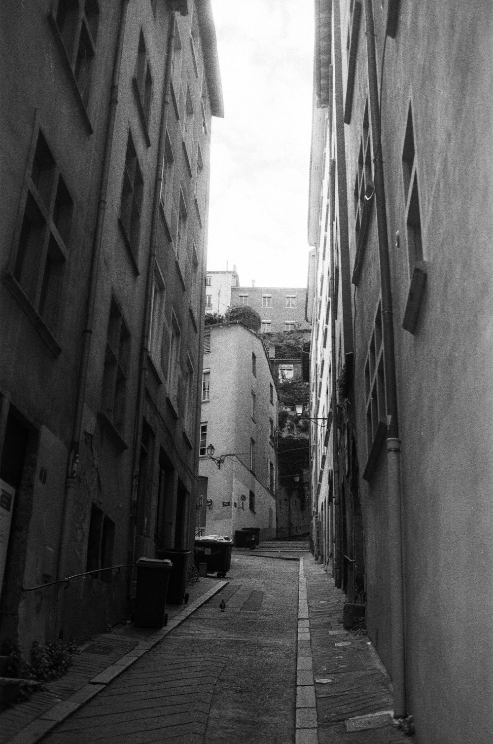 Agfa apx 400 pellicule argentique 35mm noir et blanc 400 iso film test exemple photo