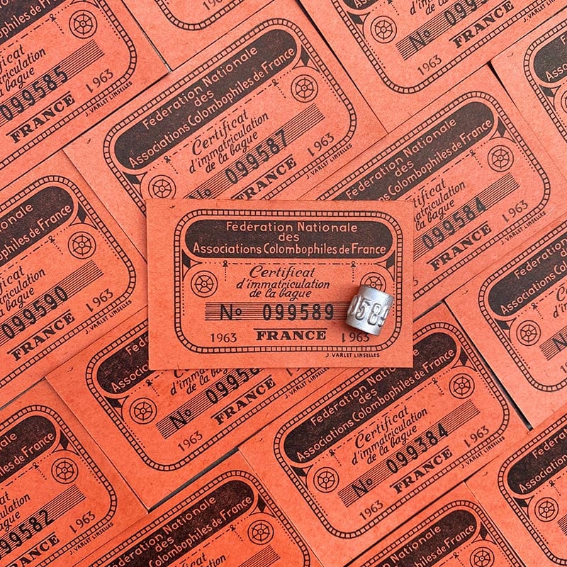 bague et ticket d'immatriculation de l'association colombophile de france 1950 1960