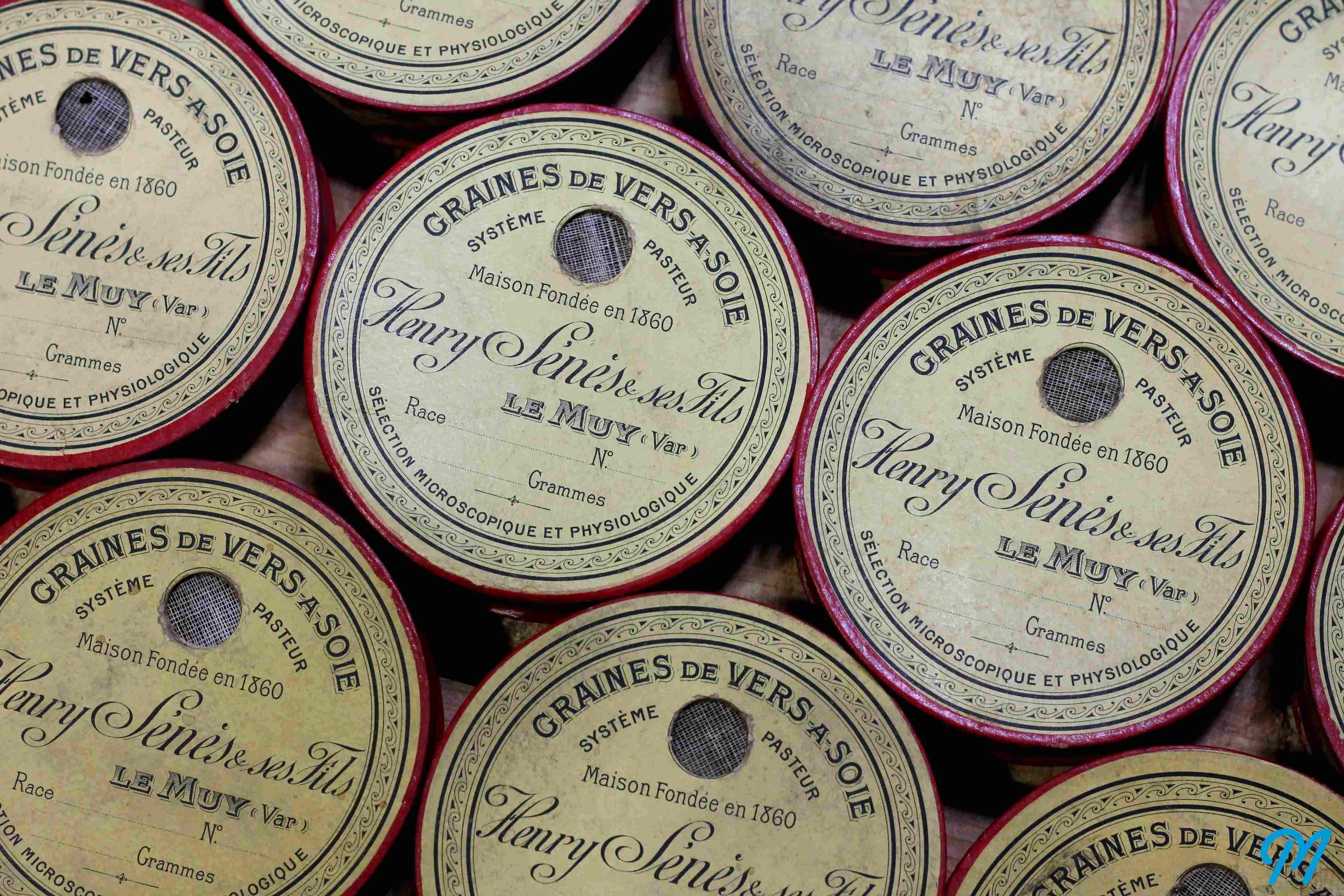 Boite Graines de Vers à Soie 1910 n°1