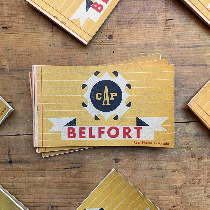 carnets vue touristiques photos cartes postales ancien vintage papier carton collection ville tourisme 1920 belfort