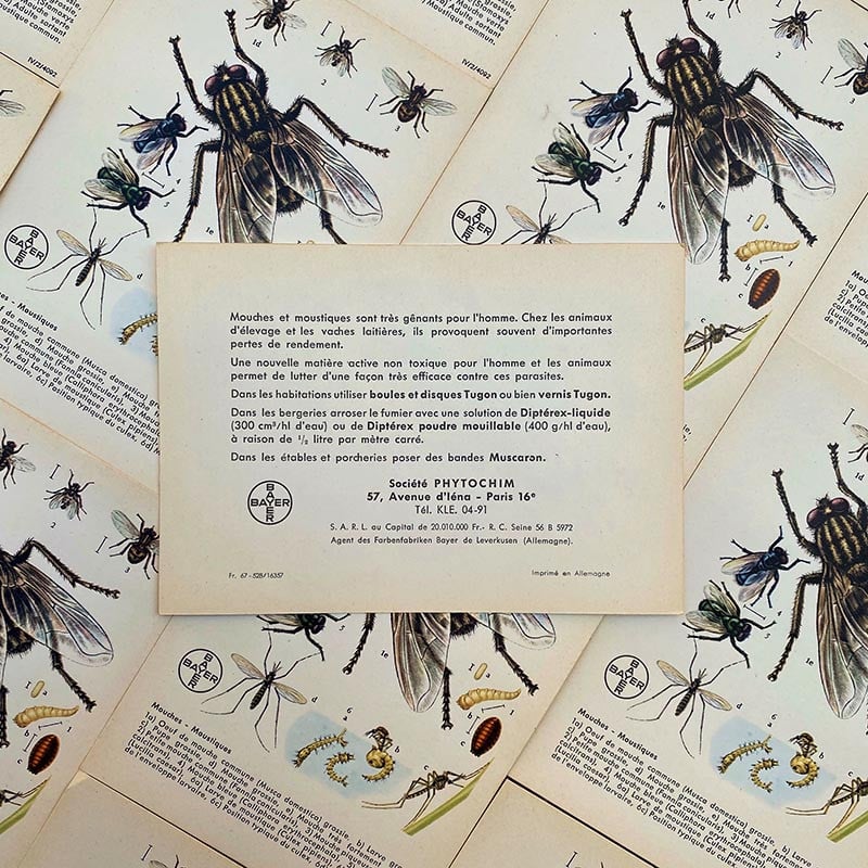 carte éducative pharmacie bayer mouches moustiques chimie laboratoire phytochim