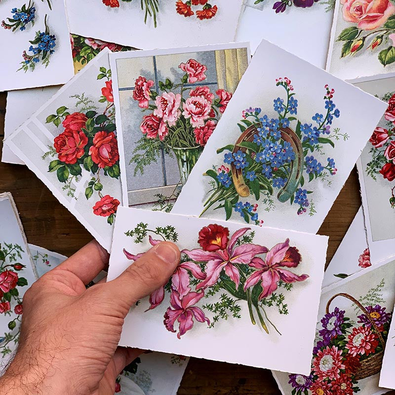 carte postale ancienne vintage photo chromo fleurs chromo fantaisie 1910 1920 1930 couleur CP CPA france