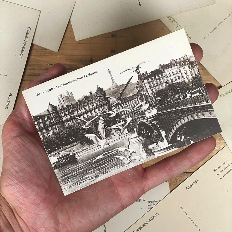 carte postale lyon ancienne lyonnaise noir et blanc 1900 1920 le pont lafayette les mouettes