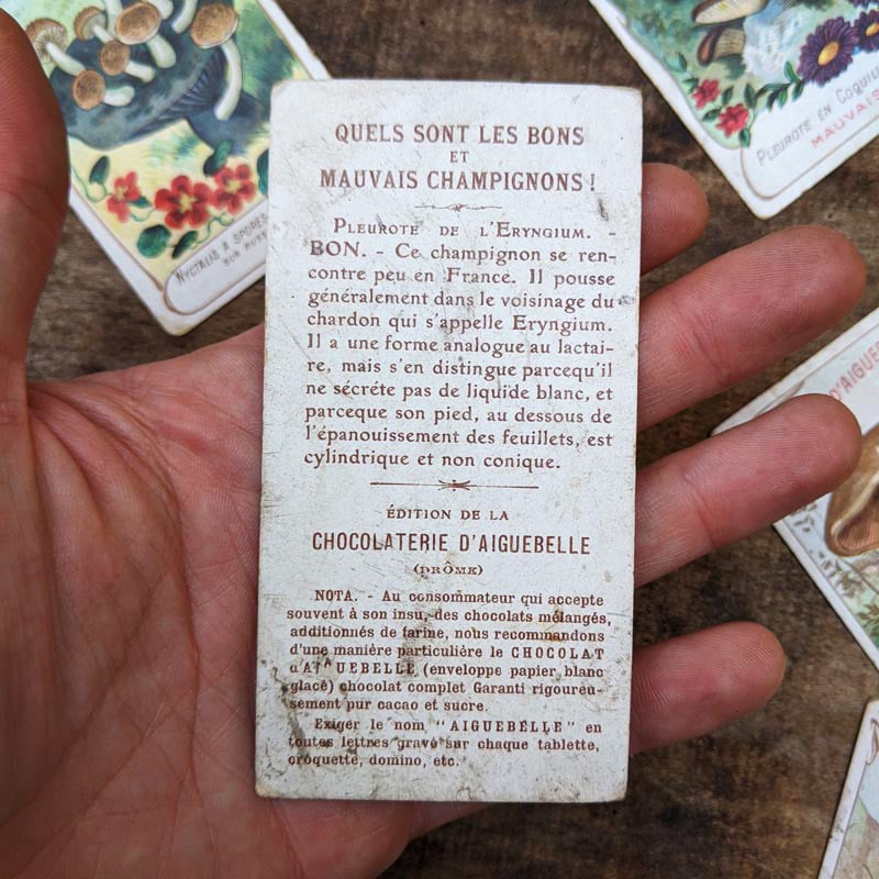 Chromo "Champignons" Chocolats d'Aiguebelle 1900