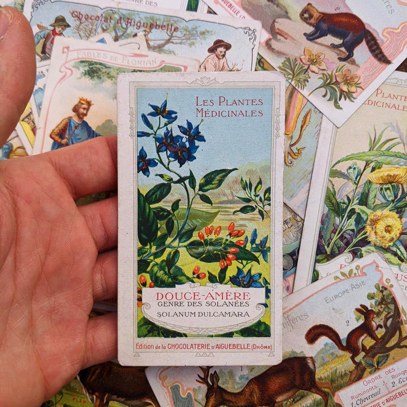 Chromo des Chocolats d'Aiguebelle 1900