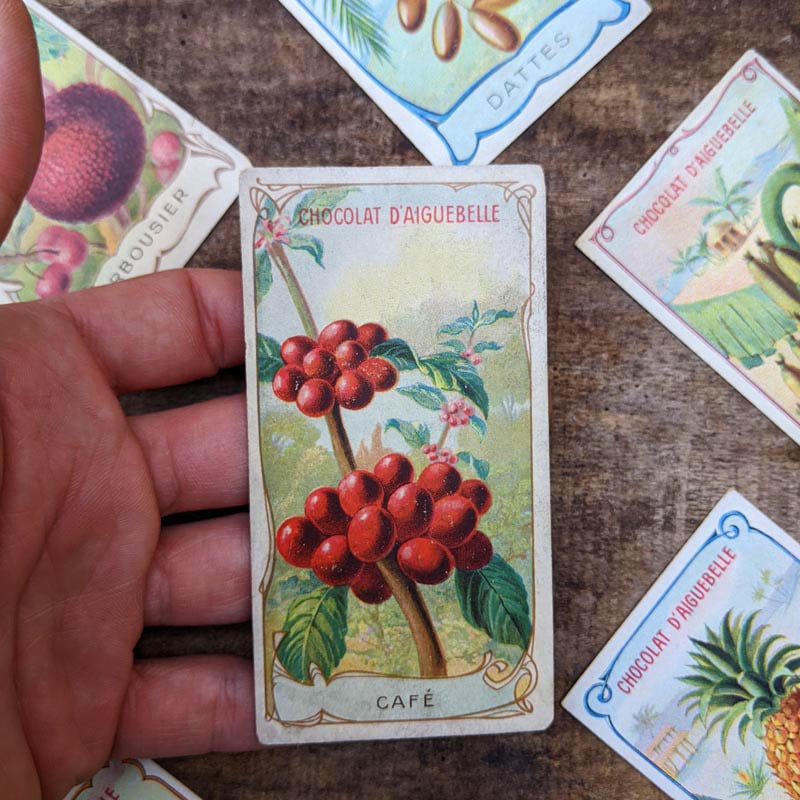 Chromo "Fruits" Chocolats d'Aiguebelle 1900