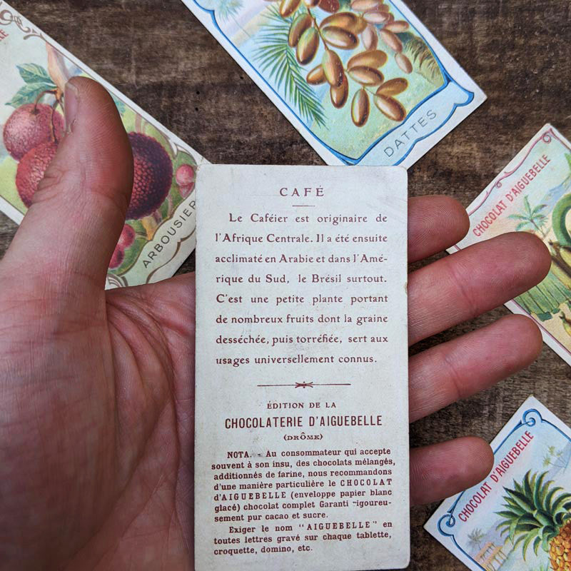 Chromo "Fruits" Chocolats d'Aiguebelle 1900