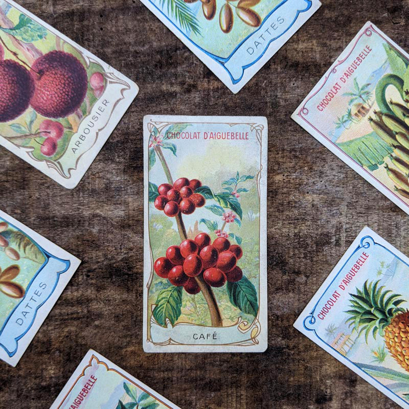 Chromo "Fruits" Chocolats d'Aiguebelle 1900