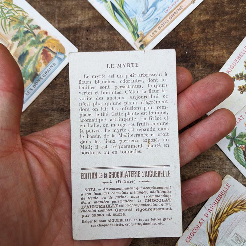 Chromo "Grains" Chocolats d'Aiguebelle 1900