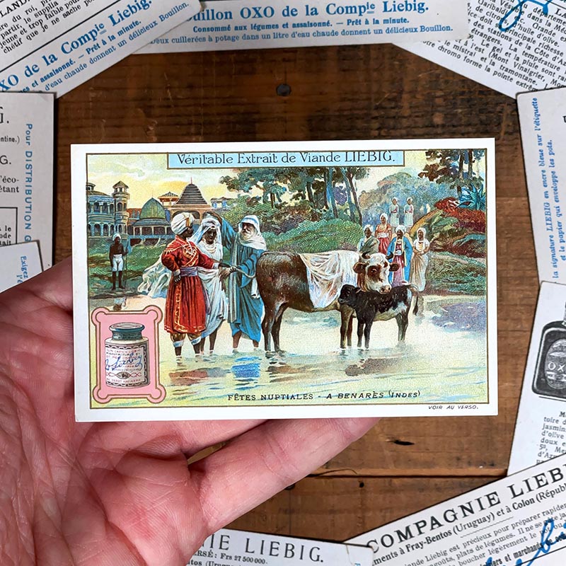 image chromo ancienne illustration vintage liebig extrait 1900 1890 1910 collection Fêtes Nuptiales
