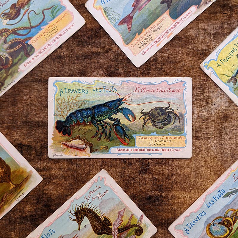 Chromo "Poissons" Chocolats d'Aiguebelle 1900