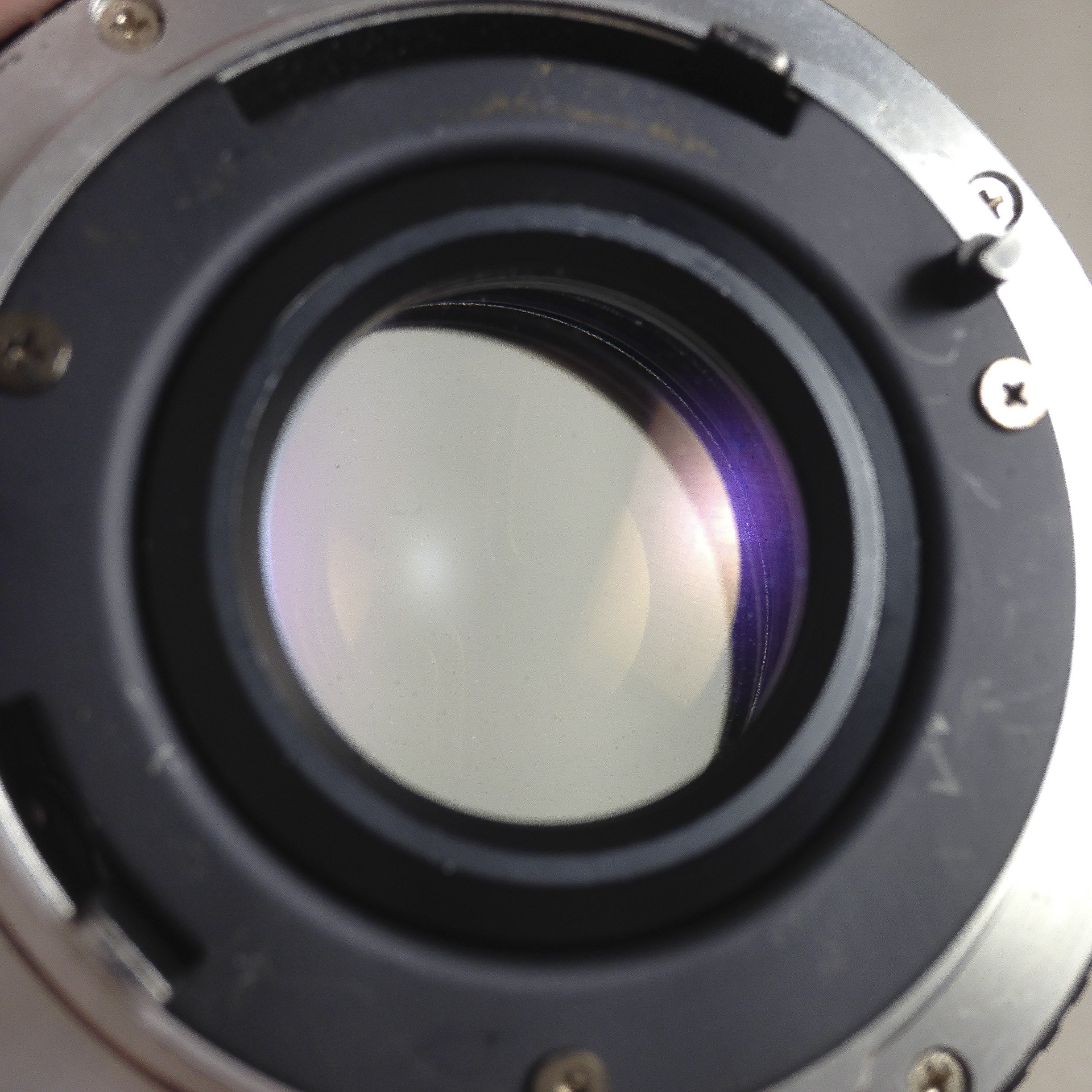 Contax 139 Quartz & Yashica DSB 50mm 1.9