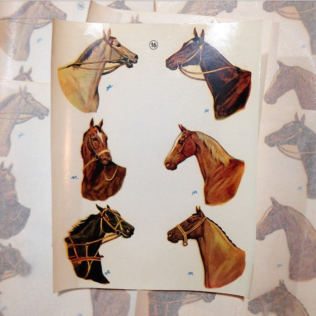 Decal 6 Horses No. 40