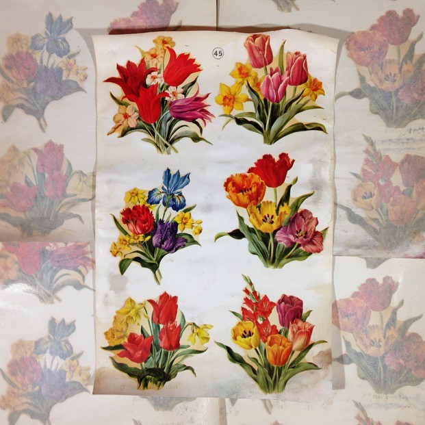 Decal 6 Large Flowers no. 43