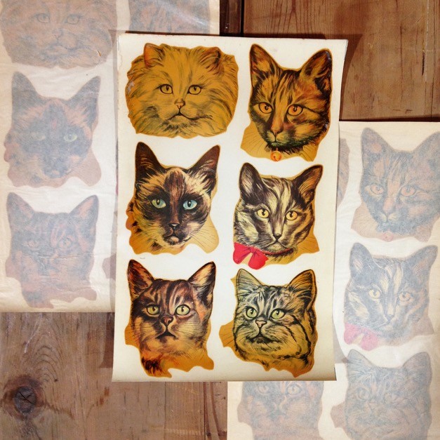 Decal 6 Large Cats No. 45