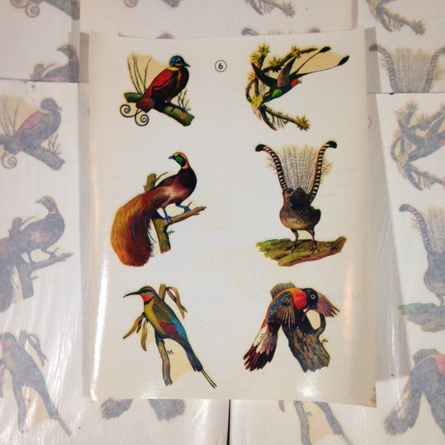 Decal 6 Large Birds No. 38