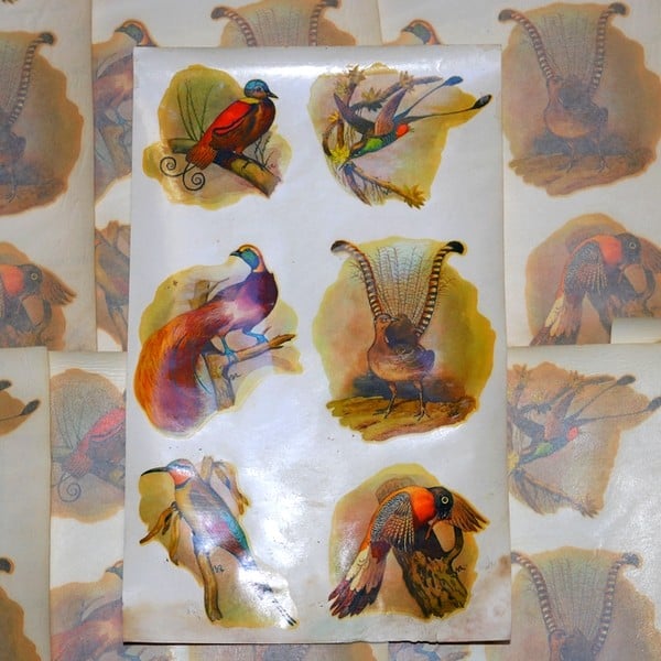 Decal 6 Birds No. 13