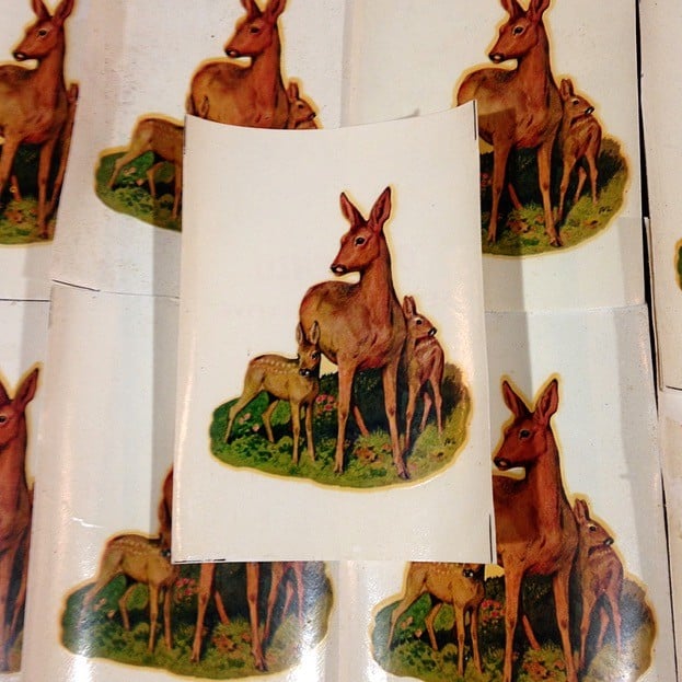 Deer Decal #25