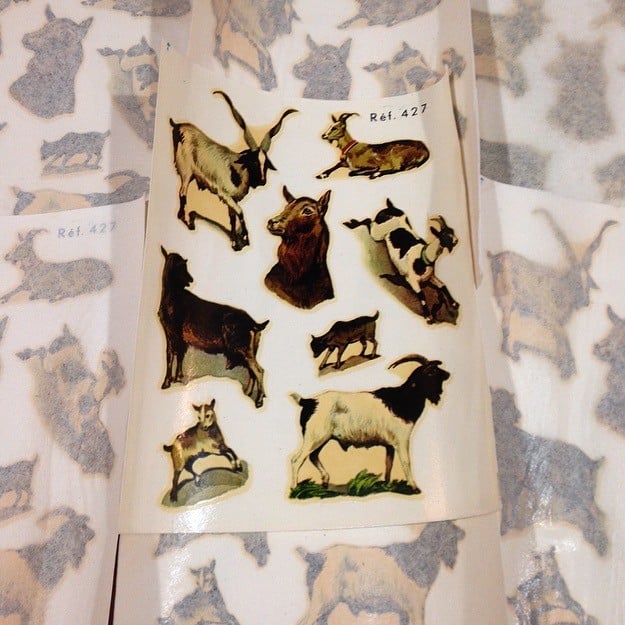 Goats Decal #50