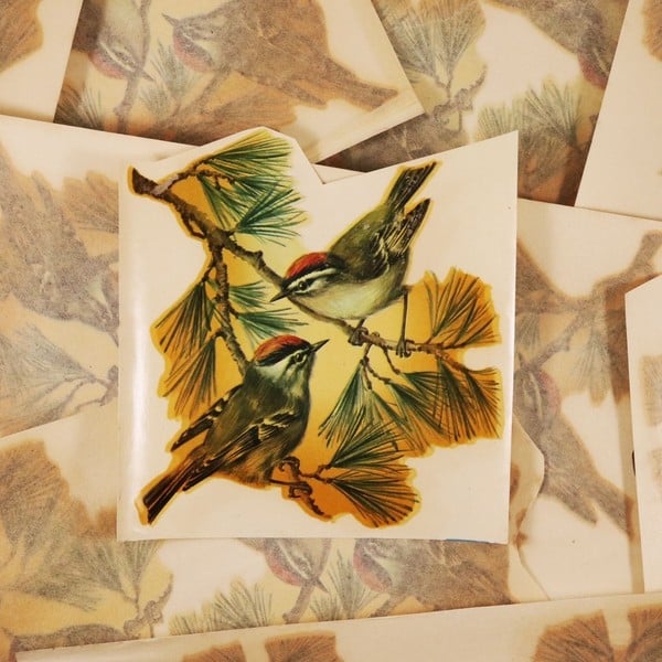 Couple of Birds Decal #12