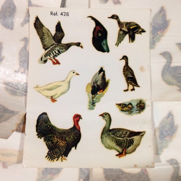 Décalcomanie Oies, Canards et Dindes n°63