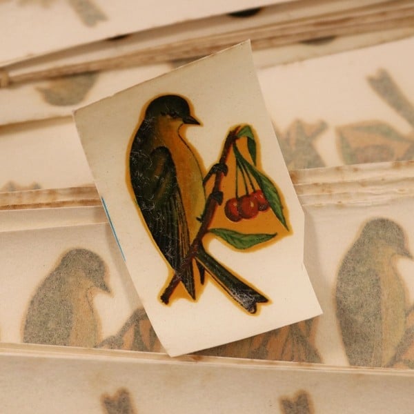 Bird & Cherry Decal #9