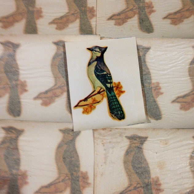 Bird Decal No. 34