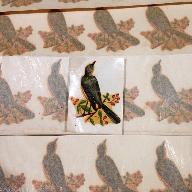 Bird Decal #56