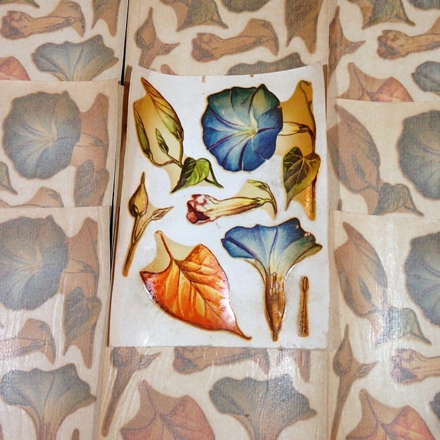 Small Flowers Decal no. 51