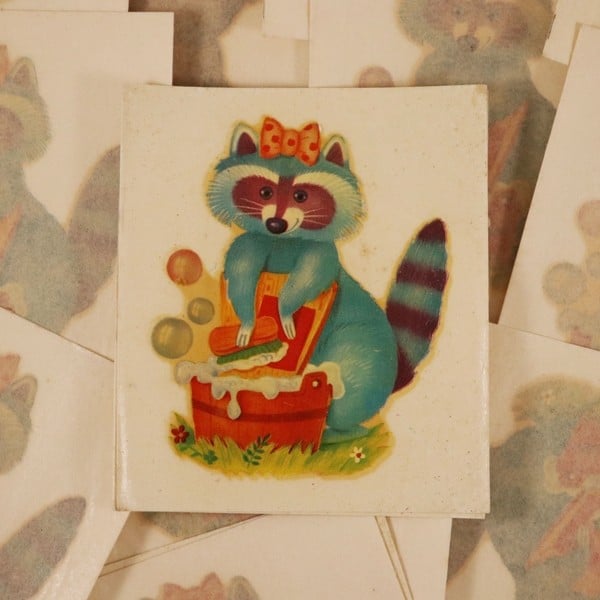Racoon Decal #14