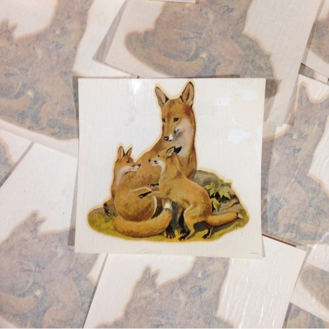 Fox Decal No. 26