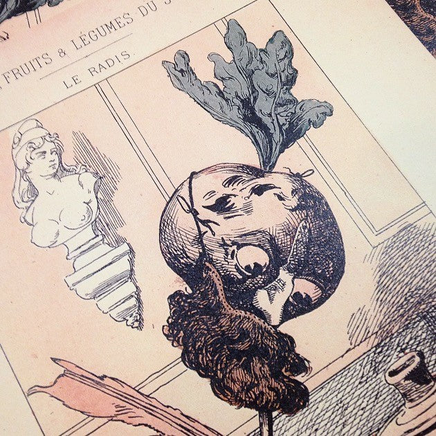 Dessin Satirique: Le Radis 1940 N°5