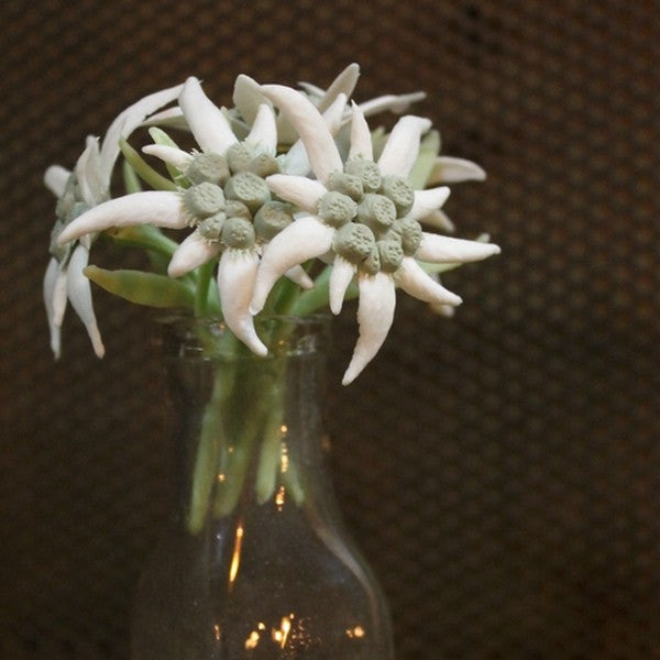 fausse edelweiss plastique factice fleur montagne alpes