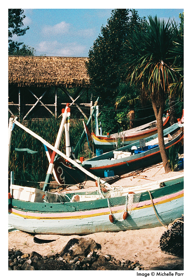 Harman Phoenix pellicule argentique couleur 35mm 200 iso film photographie