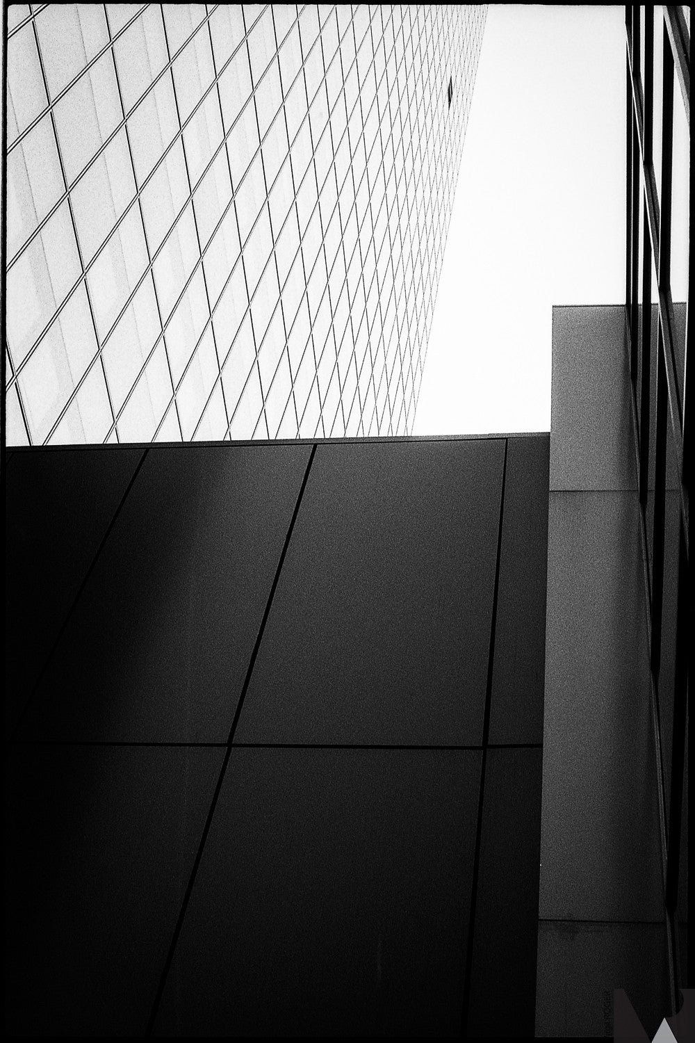 ilford fp4 plus 125 film 120 pellicule argentique moyen format test photo image rendu exemple