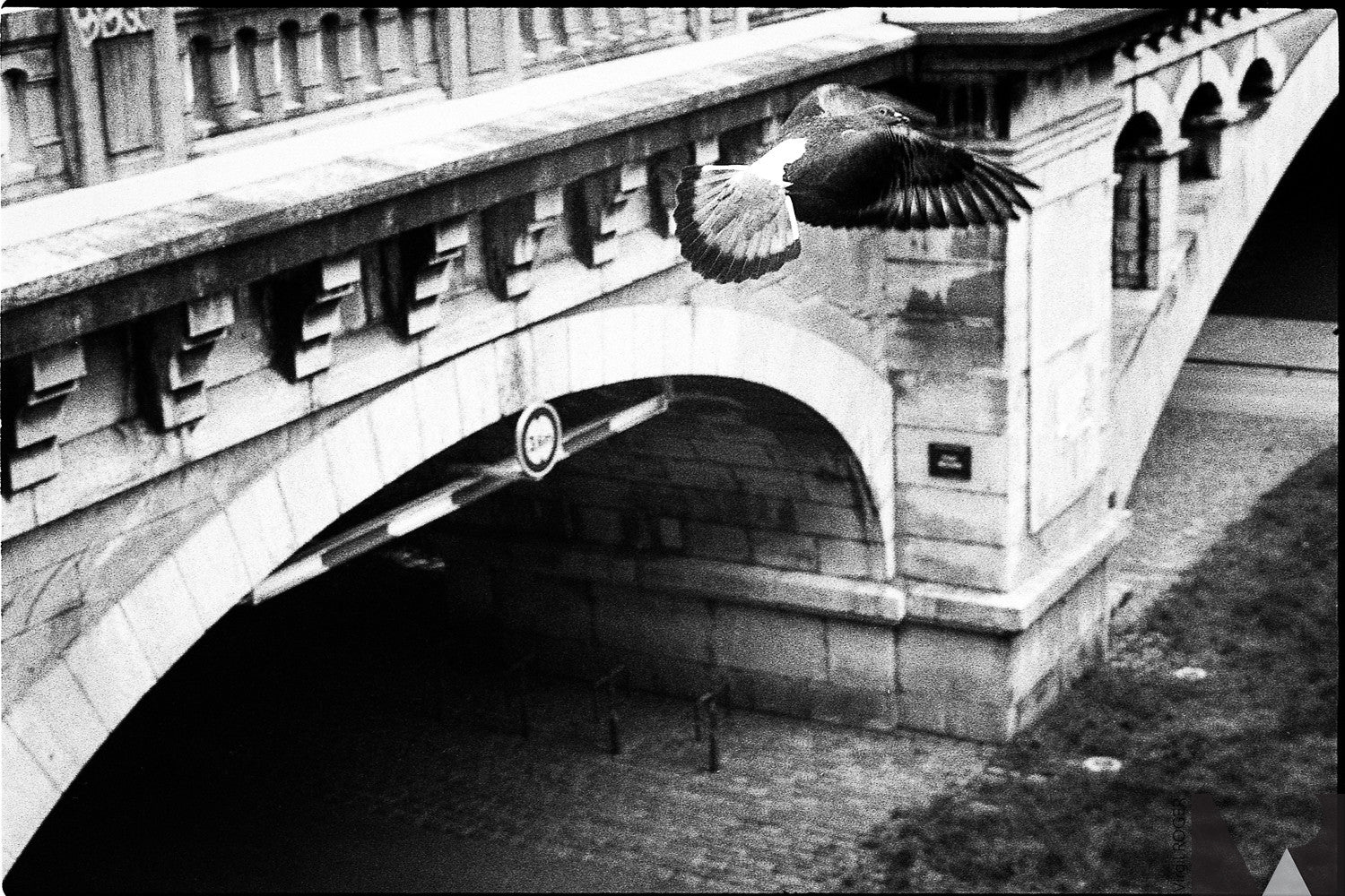 ilford hp5 plus 400 120 rouleau moyen format pellicule argentique noir et blanc film photo nb test rendu photo exemple image