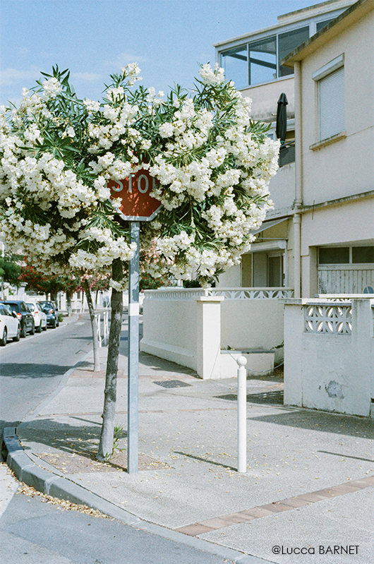 Ilford Ilfocolor 400 24exp sample exemple photographie argentique analog photography color 35mm film
